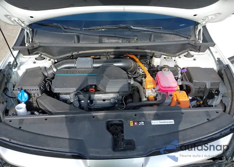 2023 Kia Sportage Ex z USA, uszkodzony, nr VIN KNDPVCAG6P7069970